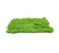 FUNOMOCYA Tapis De Mousse Artificielle Simulée Décoration Végétale pour Jardins Miniatures Et Terrariums