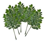 FUNORNAM Lot de 18 tiges de Verdure ruscus Italienne artificielles en Soie - Guirlande de vignes à Suspendre pour Bricolage, Arche de Mariage, Bouquet, Centre de Table, décoration d'intérieur