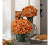 Funsdecor Artificial Mums, Artificial Outdoor Sunset Mums Flowers - UV Resistant, Waterproof & Windproof, Fake Fall Flower Daisy, Decoration for Home Porch Look Real, Full, Vibrant (E-5 bundles)