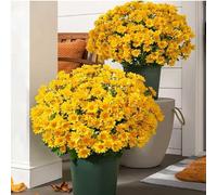 Funsdecor Artificial Mums, Artificial Outdoor Sunset Mums Flowers - UV Resistant, Waterproof & Windproof, Fake Fall Flower Daisy, Decoration for Home Porch Look Real, Full, Vibrant (A-10 bundles)