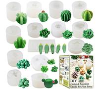 FUNSHOWCASE Lot de moules en Silicone pour Cactus et Plantes succulentes Cactus & Succulent 14-Count Smaller