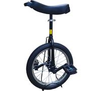 Funsport Monocycle 16 pouces noir