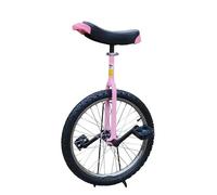 Funsport Monocycle 18 pouces Rose