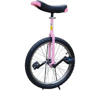 Funsport Monocycle 18 pouces rose