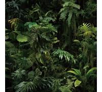 FunStick 44.5CM×9M Papier Peint Forêt Tropicale Humide Rouleau Adhesif Decoratif Meuble Vert Foncé Film Adhésif pour Armoire Salon Imperméable Papier Adhesif Vert Noir Tropical Jungle Chambre Cuisine