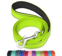 Funtags 4ft Reflective Dog Lash