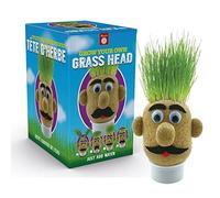 Funtime Gifts Grasshead Tête d'herbe pour cultiver votre propre herbe Vert