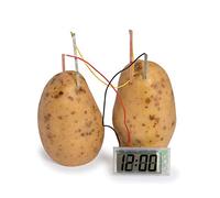 Funtime Gifts Horloge de pommes de terre - version anglaise