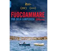 Fuocoammare, Par-Delà Lampedusa
