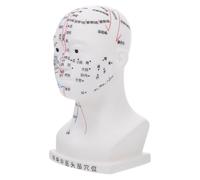 FUOYLOO Modèle de Tête Humaine en Pvc Blanc 20cm Points D'acupuncture Précis et Design Ergonomique pour Démonstrations de Santé en Classe
