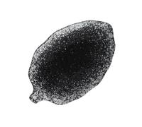 FUOYLOO Plat de Collation Créatif en Céramique Forme Feuille de Bananier, Robuste et Décoratif pour Repas, pour Service à Table et Présentation de Fruits