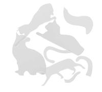 FUOYLOO Set de Règles Patchwork en Acrylique Motif Chat Blanc, Outil Léger et Polyvalent pour Couture et Broderie, pour Débutants et Amateurs de Loisirs Créatifs