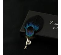 FUPOHUA Broche Broche Irisée pour Homme Femme Ornement Accessoire Unisexe Plume de Paon Broche Coffret Cadeau Fête de Mariage