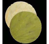 FUPOHUA Disque de Feuilles de Lotus séchées pressées pour Cuisine extérieure, Plateau de Nourriture, Riz Gluant, Poulet, Cuisine, 50 pièces