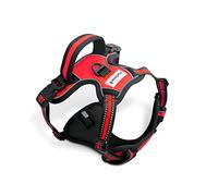 FurDreams Harnais Chien - Harnais Rembourré Sécurisé, Confortable, Bandes Réfléchissantes, Non Restrictif, Pas d'Étouffement, 4 Sangles Réglables, Anti-Traction, Fixation Facile (Rouge, Grand)