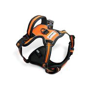 FurDreams Harnais Chien - Harnais Rembourré Sécurisé, Confortable, Bandes Réfléchissantes, Non Restrictif, Pas d'Étouffement, 4 Sangles Réglables, Anti-Traction, Fixation Facile (Grand, Orange)