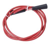 Furet de nettoyage de 2,5 M Rothenberger