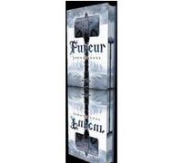 Fureur John Gwynne (Auteur), Thomas Bauduret (Traduction)