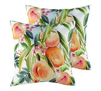 furn. Evans Lichfield Fruit Pêches Coussins remplis de Polyester (Pack Twin), Polyester, Multi