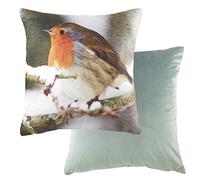 furn. Evans Lichfield Photo Robin Coussin Garni de Plumes Multicolore 43 x 43 cm