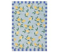 furn. Lemons Tapis - Intérieur/Extérieur Lavable Résistant Aux Intempéries Léger Vibrant Carreaux Tapis (Bleu - 120x170cm)