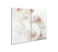 furnigo 21613 Lot de 2 plaques de verre universelles | planche à découper | plaque de cuisson | crédence | protection de plan de travail | 30 x 52 cm chacun