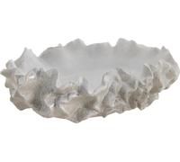 FURNLUX Coupe Viola Beige 35cm / Couleur principale : Beige / Dimensions : 35 x 13 x 46 cm