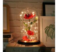 Furnsii La Belle et la Bête Rose éternelle dans un verre avec lumières chaudes, la rose éternelle cadeau pour vous, épouse, maman, petite amie, Saint-Valentin, fête des mères, anniversaire