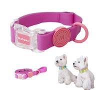 FurrPhunny Breakaway Ensemble collier et laisse pour chien - Imperméable, tendance, durable - Collier réglable avec longue laisse pour chiens de petite, moyenne et grande taille (rose, taille S)