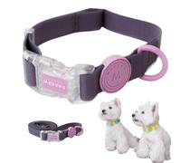 FurrPhunny Breakaway Ensemble collier et laisse pour chien - Imperméable, tendance, durable - Collier réglable avec longue laisse pour chiens de petite, moyenne et grande taille (violet, S)