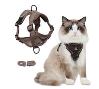 FurrPhunny Ensemble harnais et laisse pour chat - Anti-fugue - Réglable et souple - Avec bande réfléchissante - Gilet confortable pour animaux de compagnie, chaton, chiot et lapin - Marron - Taille M
