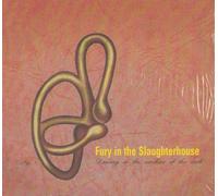 Fury in the Slaughterhouse - incl. Radio Orchid (Acoustic Version) / Stay Clean These Days / Rainy April Day (CD Single Fury in the Slaughterhouse, 5 Tracks)