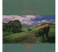 Fury In The Slaughterhouse - inkl. No Illusions