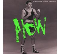 Fury in the Slaughterhouse - Now