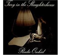 Fury in the Slaughterhouse - Radio Orchid [Import]