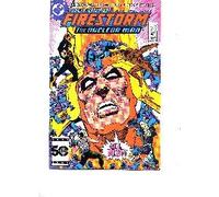 Fury of Firestorm #45