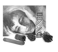 Fusains Petit buisson Ø 6 mm 25 bâtons