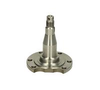 Fusée d'essieu, suspension de roue BTA H5A003BTA