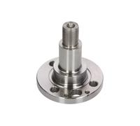 Fusée d'essieu, suspension de roue BTA H5S003BTA