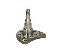 Fusée d'essieu, suspension de roue BTA H5W008BTA