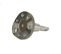 Fusée d'essieu, suspension de roue BTA H5W027BTA pour SANTANA 1.8 1995-1999