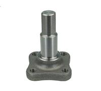 Fusée d'essieu, suspension de roue MEYLE 16-14 501 0000 pour CLIO II 1.5 2001-