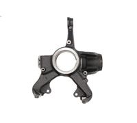 Fusée d'essieu, suspension de roue REINHOCH RH08-0030 pour TIGUAN (5N_) 2 2007-