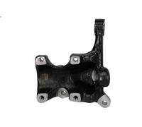 Fusée d'essieu, suspension de roue REINHOCH RH08-4025 pour FIESTA V 1.3 2002-