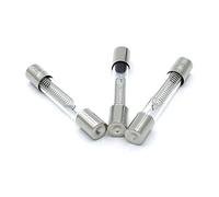 Fusible 10 pièces 5KV 0.75A .65A .7A .8A .9A 650mA 750mA 700mA 800mA 900mA four à micro-ondes fusible haute tension(0.9A)