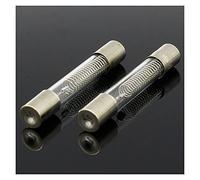 Fusible 10 pièces 5KV 0.8A 800MA four à micro-ondes fusible haute tension