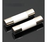 Fusible 10 pièces Fusible En Céramique 5mm x 20mm Coup Lent T 0.5A 1A 2A 3A 4A 5A 6A 8A 10A 13A 15A 16A 20A 250V Câblage de protection (Size : 10A)