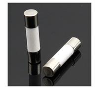 Fusible 10 pièces Fusible En Céramique 5mm x 20mm Coup Lent T 0.5A 1A 2A 3A 4A 5A 6A 8A 10A 13A 15A 16A 20A 250V Câblage de protection (Size : 16A)