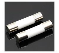Fusible 10 pièces Fusible En Céramique 5mm x 20mm Coup Lent T 0.5A 1A 2A 3A 4A 5A 6A 8A 10A 13A 15A 16A 20A 250V Câblage de protection (Size : 16A)