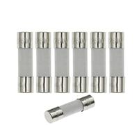 Fusible 100 PIÈCES 5 * 20mm Fusible En Céramique À Coup Rapide 5x20mm 250V 0.1A 0.25A 0.5A 1A 1.5A 2A 2.5A 3A 3.15A 4A 5A 6A 6.3A 8A 10A 15A 16A 20A 25A Câblage de protection (Size : 20A)